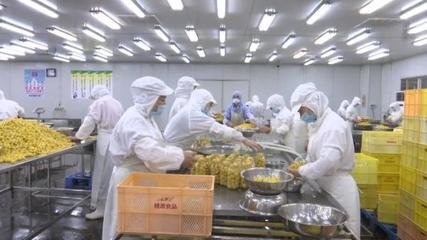 黃山桃源罐頭食品產(chǎn)銷兩旺 產(chǎn)業(yè)發(fā)展勢頭強勁